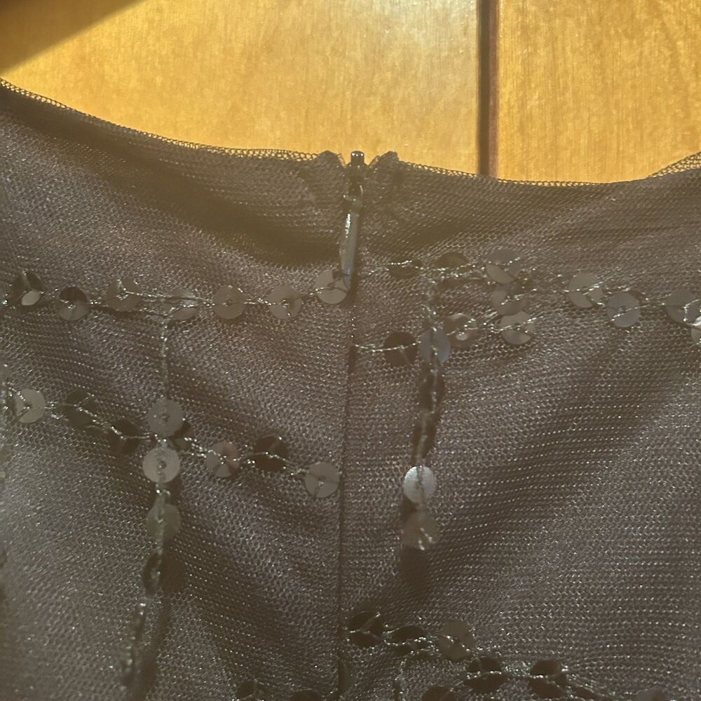 Black Sequin Dress-Deep‎ V Neck-Mesh Sleeves-**Read**-Fairy-Whimsigoth-Formal - Picture 7 of 11